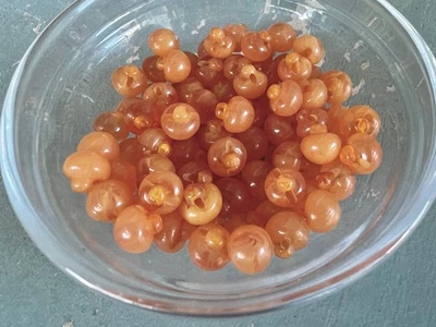 100 botones de caña redonda remolinados rosa semitranslúcido de baquelita de 8 mm Foto 1 de 3