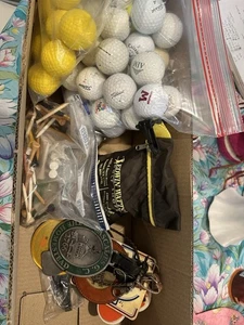 Vintage Golf Memorabilia Lot Balls Tags Tools Glove PGA Bag Tees Collectibles - Picture 1 of 18