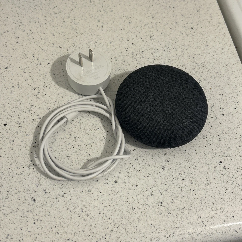 Altavoz inteligente Google Home con cable de alimentación Foto 1 de 1