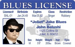 Jake Blues MAGNET AUSWEIS Blues Brothers Film gefälschter Witz John Belushi Führerschein - Bild 1 von 3