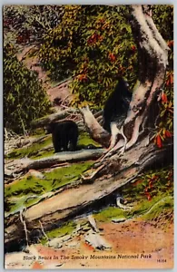 Vintage Black Bears Smoky Mountain Nationalpark Postkarte - Bild 1 von 2