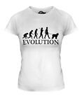 Old English Sheepdog Evolution Of Man Ladies T-Shirt Tee Top Dog Gift Walker