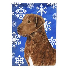 Caroline's Treasures-Winter Snowflakes Holiday Flag, Small, Multicolor