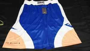 Everlast Greatness Is Within Boxing Shorts Sz L/ XL - Picture 1 of 6