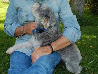 Handsome Double - Leather Bracelet,Sterling Silver or Mens Women Leather Cuff - Image 1 of 4