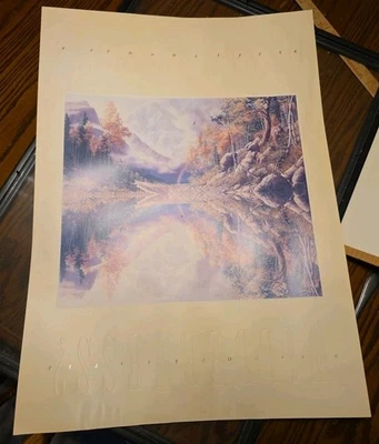 Moldura Bev Doolittle "Wilderness! Deserto! Estampa de belas artes - Imagem 1 de 3