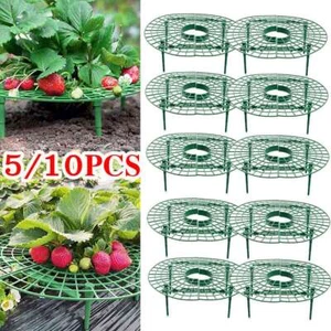 5/10PCS Strawberry Stand Frame Holder Balcony Planting Rack Fruit Support Garden - Picture 1 of 10