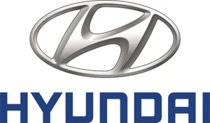391312MTL0 - ELECTRONIC CONTROL UNIT - Hyundai - Picture 1 of 1