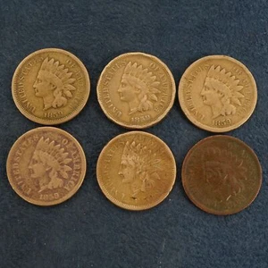 Lot of Five 1859 Indian Head Cents w 1864 Bonus- Free Shipping USA - Picture 1 of 3