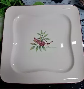 Villeroy & Boch Speiseteller " vivo " - 6 vorhanden - Bild 1 von 4