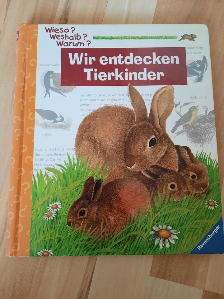 Buch Wieso Weshalb Warum - Wir entdecken Tierkinder - Bild 1 von 1
