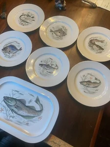 Vintage JK Bavaria Germany Fish Set Design 6 Porcelain Dinner Plates  & Platter - Picture 1 of 11