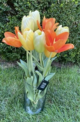 12 tulipanes franceses Napa hogar y jardín 4 ramos de flores falsas de seda artificial nuevos con etiquetas Foto 1 de 4
