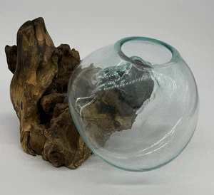 Molten Glass Sculptural Bowl Plant Terrarium Natural Driftwood Base 14”x8”x9” - Picture 1 of 12