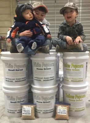 Palomitas de maíz cultivadas en casa 20# - blancas - azules - fresa - amarillo hongo  Foto 1 de 3