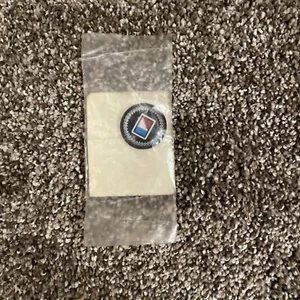 VINTAGE AMC PLASTIC STICK ON EMBLEM - Picture 1 of 2