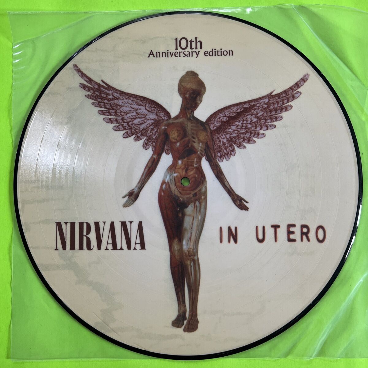 Nirvana Picture Disc LP Vinyl Records | eBay Nirvana Picture Disc LP Vinyl Records | eBay