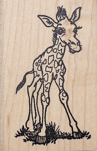 Estampilla de goma para jirafa bebé, de pie J38704 montada en madera - Imagen 1 de 3