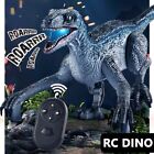 Electric Walking with Light Remote Controlled Spray Dinosaur Robot RC Toys