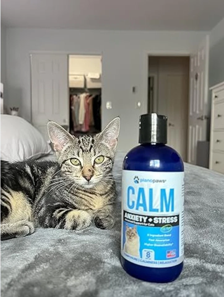 Жидкость для снятия тревоги у кошек Planopaws быстрая абсорбция 8 унций - Изображение 1 из 4