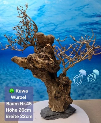 Aquarium KUWA Wurzel  Bonsai Baum auf Schieferplatte - Bild 1 von 2
