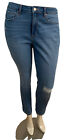 NWT Sonoma Curvy Skinny High Rise Jeans Distressed size 14