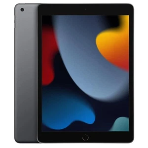 Apple iPad 9th Gen A2602 256GB, Wi-Fi 10.2 in Space Grey - excellent Refurbished - Picture 1 of 2
