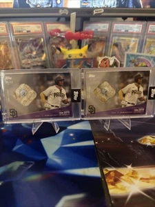 Juan Soto Relic 23,25/49 - Picture 1 of 2