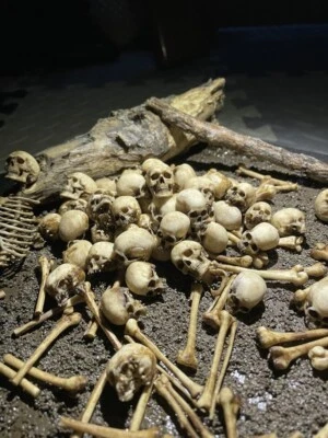 1/12 Scale Action Figure Skull Model Human Skeleton Scene Accessory Display Toy# - Image 1 of 4