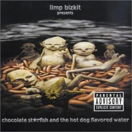 Limp Bizkit Boiler DVD Audio CD (2001)