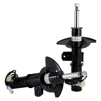 For Cadillac Eldorado 1997-2002 Arnott Front Struts — 第 1/4 张图片