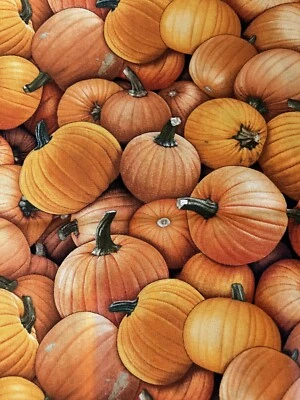 25-5-111 Elizabeth's Studio - Fall Pumpkins - Cotton - 15 x 44" Remnant - Image 1 of 2