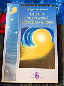 BUCH DAS LICHT, DAS DEN DUNKLEN ABGRUND DURCHBOHRT MAGGI LIDCHI FETTE AUROBINDO M - Bild 1 von 5