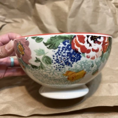 Tazón de sopa de cereal de gres para jardín rural con patas The Pioneer Woman borde rojo 6" Foto 1 de 4