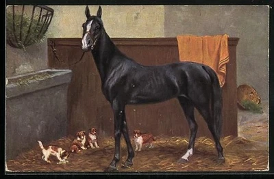 Ansichtskarte Edles Reitpferd mit Hundewelpen im Stall 1924  - Bild 1 von 2