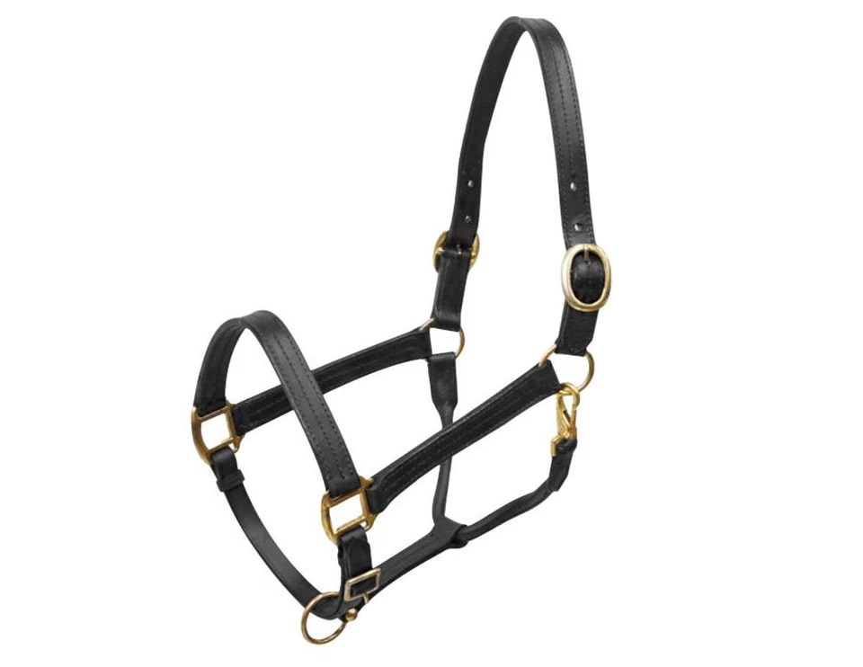 Halter grande de cuero para caballo con herrajes de latón Foto 1 de 1