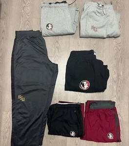 NWOT Nike Florida State Seminoles Sweatpants FSU Adult 3XL Dri Fit Fleece Multi - Picture 1 of 8