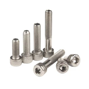 M5 M6 M8 M10 M12 Allen Key Bolts Socket Cap Screws Hex Head Nickel Plating - Picture 1 of 8