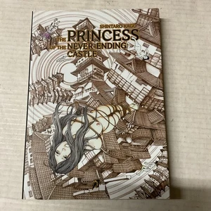 Hallow Press The Princess of the Never-Ending Castle Trade Paperback TPB - Picture 1 of 3