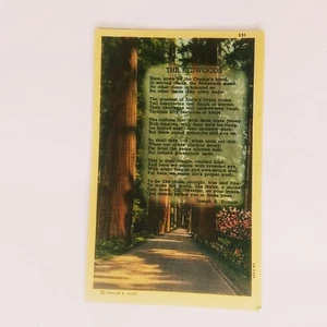 The Redwoods National Park Kalifornien Gedicht Strauss Leinen Postkarte um 1949 - Bild 1 von 2