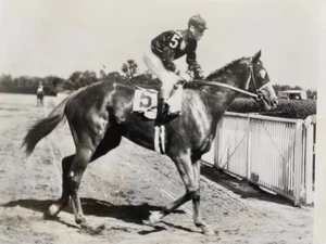 Original 1936 Press Photo of A. G. Vanderbilt's HOF Racehorse "DISCOVERY" - Picture 1 of 6