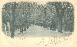 Postal de colección - Avenida del Gobierno, Ciudad del Cabo, Ciudad Portuaria, Sudáfrica - Imagen 1 de 2