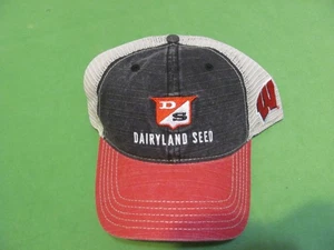 Dairyland Seed with W Logo Adjustable Snapback Mesh Trucker Hat/Cap - Picture 1 of 3