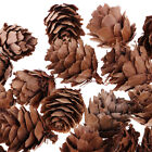 60 Pcs Pine Cones Natural Pineal Nuts Christmas Tree Ornament Party Decoration