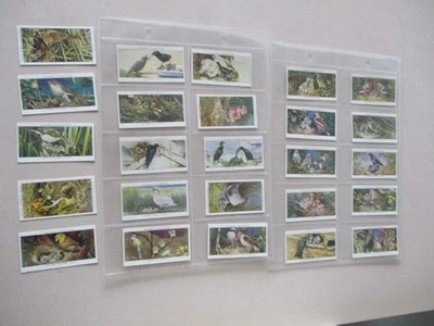 John Player & Sons Birds & Their Young  2nd series Unissued Full Set of 25 cards - Image 1 of 4