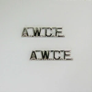 AWCF- Silver/Fire Police Collar Brass- Pin & Clutch Backing - NEW- Rank Insignia - Picture 1 of 3
