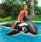 Intex 58561EP Whale Ride-On Pool Float, Black/White