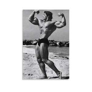 Olympia Arnold Art Schwarzenegger Poster Canvas Poster Picture Print Home Room - Picture 1 of 9