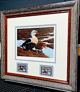 Stampa timbro Nancy Howe 1991 Federal Waterfowl Duck con doppi francobolli - nuova cornice - Foto 1 di 6