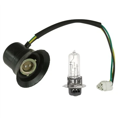 Enchufe de faro y bombilla para Yamaha Wolverine 350 yfm350fx 4x4 2003-2005 Foto 1 de 4